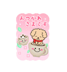 BIGかわいい♥トイプー日和の年末年始 16（個別スタンプ：22）