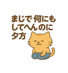 ゆる絶望ねこ（個別スタンプ：7）