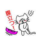 【動く】ピンクおかっぱ猫たま(日本語版)（個別スタンプ：8）