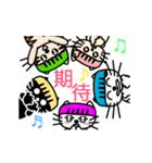 【動く】ピンクおかっぱ猫たま(中国語版)（個別スタンプ：23）