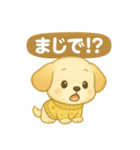 ぽかぽかワンコの日常（個別スタンプ：19）
