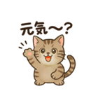 可愛いトラの日常2（個別スタンプ：3）