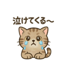 可愛いトラの日常2（個別スタンプ：5）