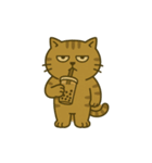 キジトラ課長 5（個別スタンプ：14）