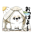 新・シーズー犬 2025 「夏です」（個別スタンプ：1）