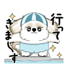 新・シーズー犬 2025 「夏です」（個別スタンプ：3）