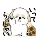 新・シーズー犬 2025 「夏です」（個別スタンプ：4）