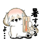 新・シーズー犬 2025 「夏です」（個別スタンプ：7）