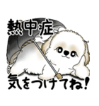 新・シーズー犬 2025 「夏です」（個別スタンプ：8）