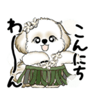 新・シーズー犬 2025 「夏です」（個別スタンプ：9）