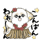 新・シーズー犬 2025 「夏です」（個別スタンプ：10）