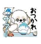 新・シーズー犬 2025 「夏です」（個別スタンプ：11）