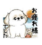 新・シーズー犬 2025 「夏です」（個別スタンプ：12）