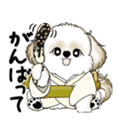 新・シーズー犬 2025 「夏です」（個別スタンプ：17）