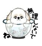 新・シーズー犬 2025 「夏です」（個別スタンプ：18）