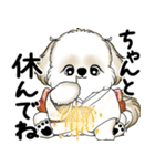 新・シーズー犬 2025 「夏です」（個別スタンプ：22）