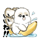 新・シーズー犬 2025 「夏です」（個別スタンプ：23）