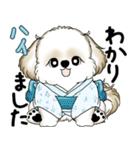 新・シーズー犬 2025 「夏です」（個別スタンプ：24）