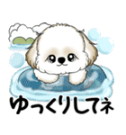 新・シーズー犬 2025 「夏です」（個別スタンプ：25）