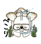 新・シーズー犬 2025 「夏です」（個別スタンプ：26）
