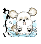 新・シーズー犬 2025 「夏です」（個別スタンプ：27）
