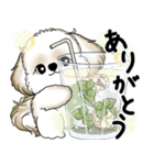 新・シーズー犬 2025 「夏です」（個別スタンプ：28）
