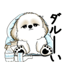 新・シーズー犬 2025 「夏です」（個別スタンプ：30）