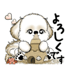 新・シーズー犬 2025 「夏です」（個別スタンプ：31）