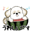 新・シーズー犬 2025 「夏です」（個別スタンプ：32）