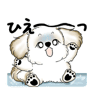 新・シーズー犬 2025 「夏です」（個別スタンプ：33）