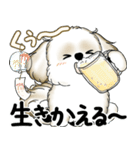 新・シーズー犬 2025 「夏です」（個別スタンプ：36）