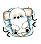 新・シーズー犬 2025 「夏です」（個別スタンプ：37）