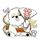 新・シーズー犬 2025 「夏です」（個別スタンプ：38）