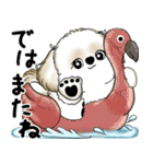 新・シーズー犬 2025 「夏です」（個別スタンプ：39）