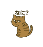 キジトラ課長 1（個別スタンプ：2）