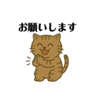 キジトラ課長 1（個別スタンプ：5）