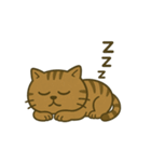 キジトラ課長 1（個別スタンプ：10）