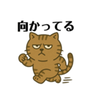 キジトラ課長 1（個別スタンプ：11）