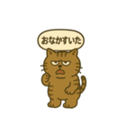 キジトラ課長 1（個別スタンプ：13）