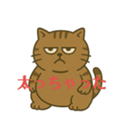 キジトラ課長 1（個別スタンプ：14）
