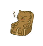 キジトラ課長 1（個別スタンプ：16）
