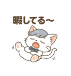 にゃいんずの青色担当・あおにゃん（個別スタンプ：37）