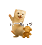 フェレットのおこめスタンプ（個別スタンプ：3）