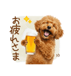 ゆるかわ！わんこ達の日常スタンプ（個別スタンプ：2）