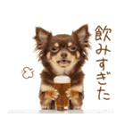 ゆるかわ！わんこ達の日常スタンプ（個別スタンプ：7）