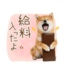 ゆるかわ！わんこ達の日常スタンプ（個別スタンプ：11）