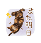 ゆるかわ！わんこ達の日常スタンプ（個別スタンプ：14）