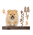 ゆるかわ！わんこ達の日常スタンプ（個別スタンプ：17）