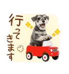 ゆるかわ！わんこ達の日常スタンプ（個別スタンプ：23）