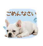 ゆるかわ！わんこ達の日常スタンプ（個別スタンプ：25）